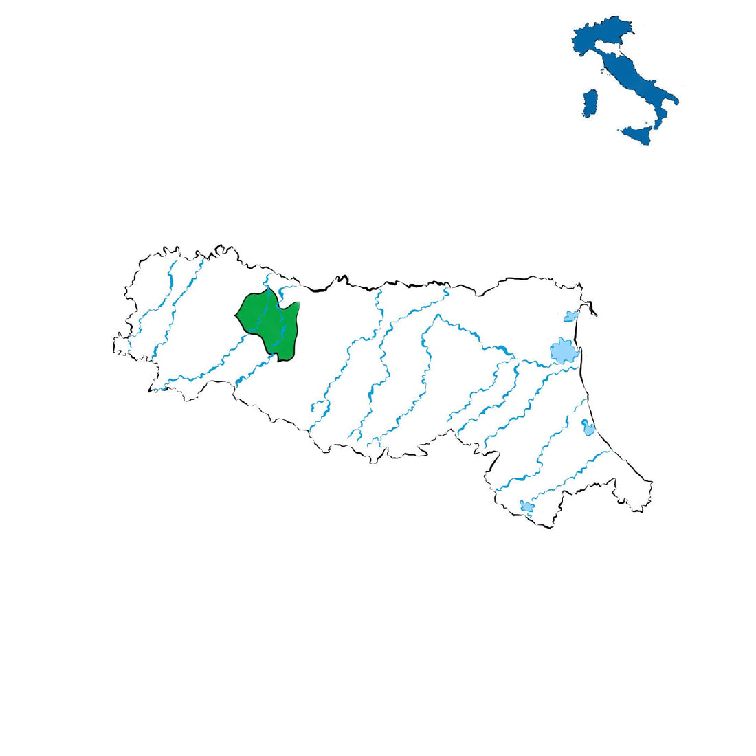 Colli di Parma DOC: vini delle colline parmensi