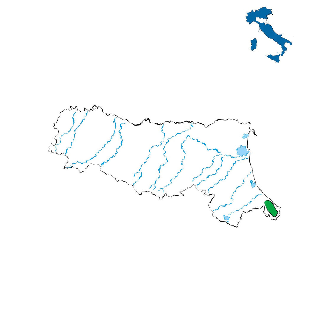 Rimini DOC: vini tra mare e colline romagnole