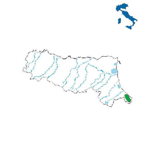 Rimini DOC: vini tra mare e colline romagnole