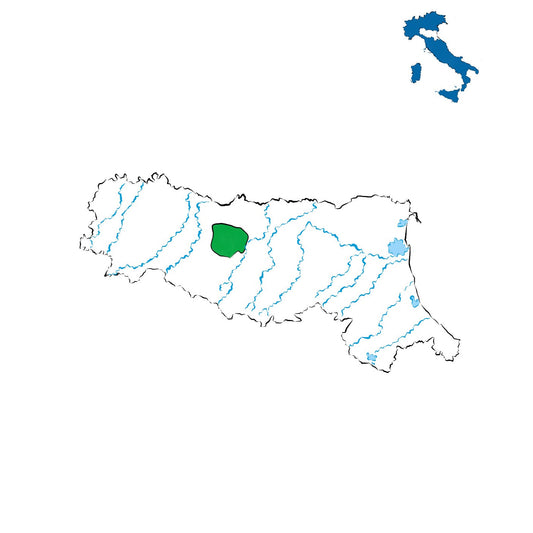 Colli di Scandiano e di Canossa DOC: vini delle colline reggiane