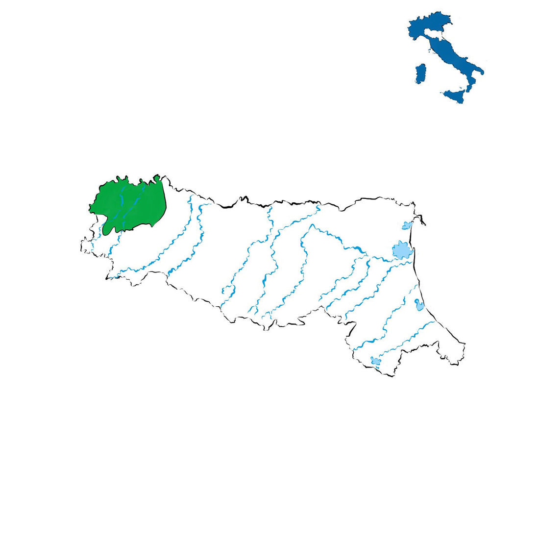 Colli Piacentini DOC: vini delle colline piacentine