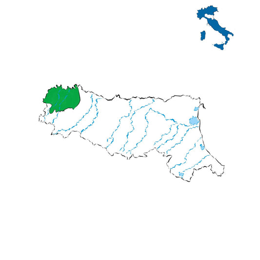 Colli Piacentini DOC: vini delle colline piacentine