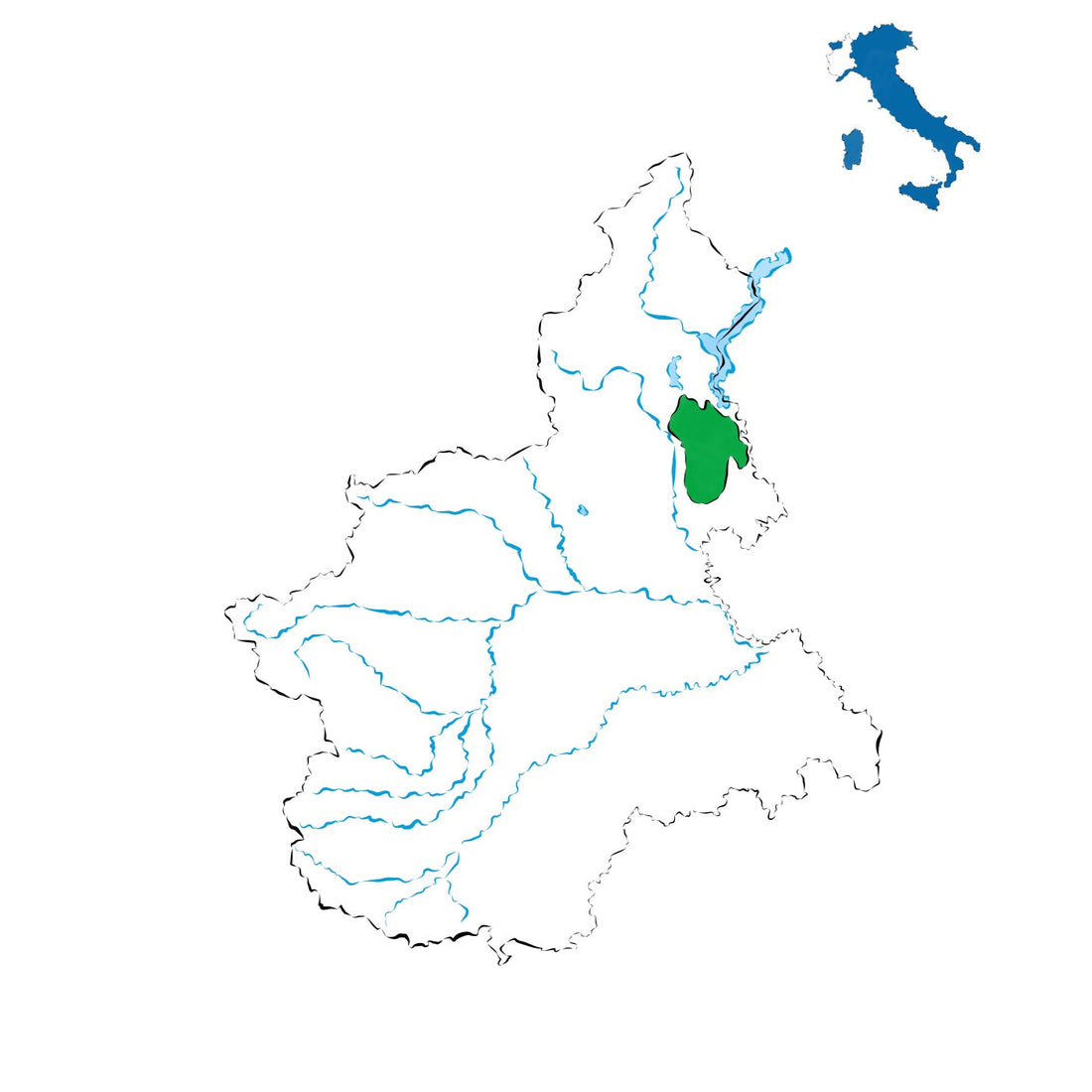 Colline Novaresi DOC: vini eleganti del novarese