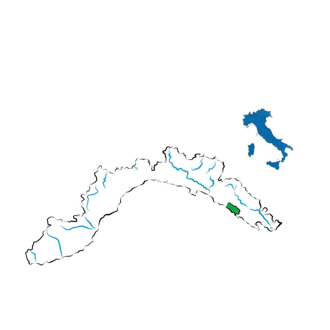Colline di Levanto DOC: il cuore vitivinicolo tra Cinque Terre e Val di Vara