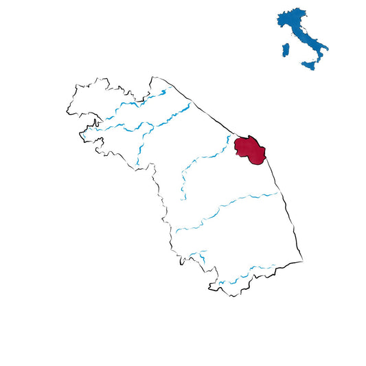 Conero DOCG: il regno del Montepulciano nelle Marche