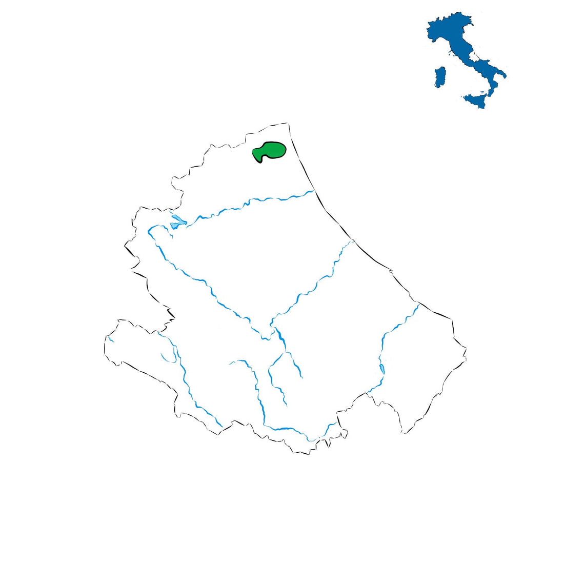 Controguerra DOC: vini dall’Adriatico abruzzese