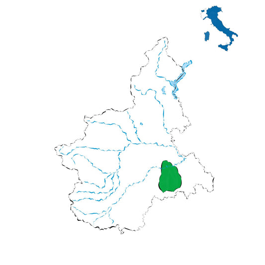Cortese dell’Alto Monferrato DOC: bianchi eleganti tra colline e tradizione