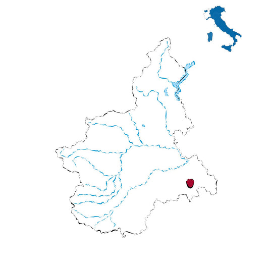 Cortese di Gavi DOCG: freschezza e raffinatezza tra le colline del Gavi