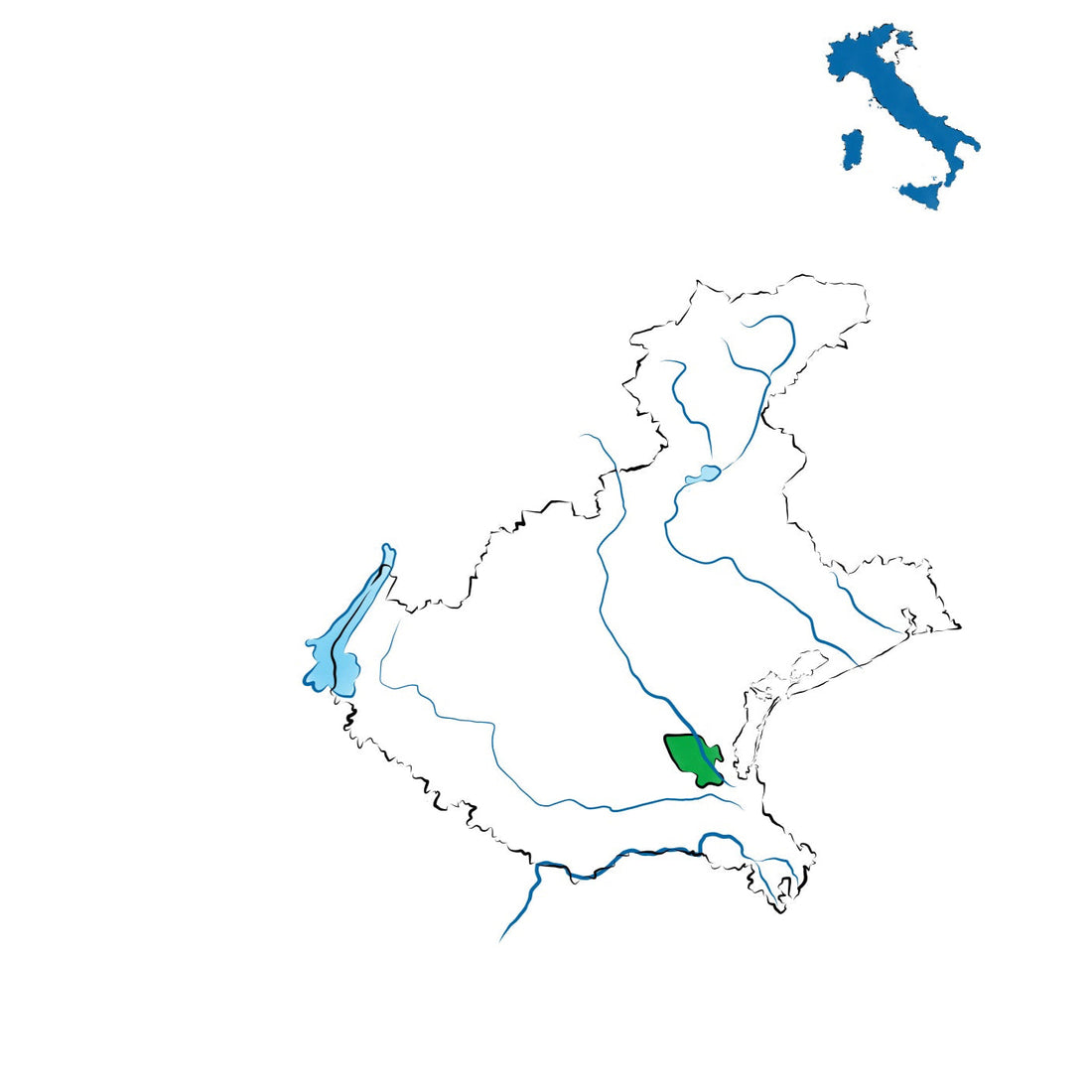 Corti Benedettine del Padovano DOC: i vini della pianura padovana