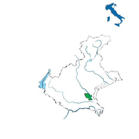 Corti Benedettine del Padovano DOC: i vini della pianura padovana