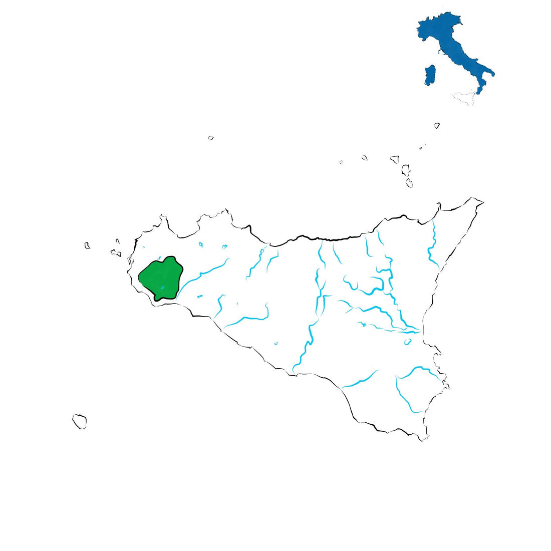 Delia Nivolelli DOC: espressione mediterranea della Sicilia sud-occidentale