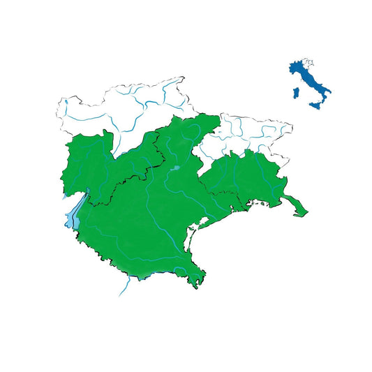 Delle Venezie DOC: il regno del Pinot Grigio