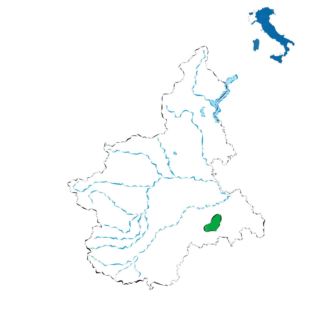 Dolcetto d’Acqui DOC: vini rossi morbidi tra colline e tradizione