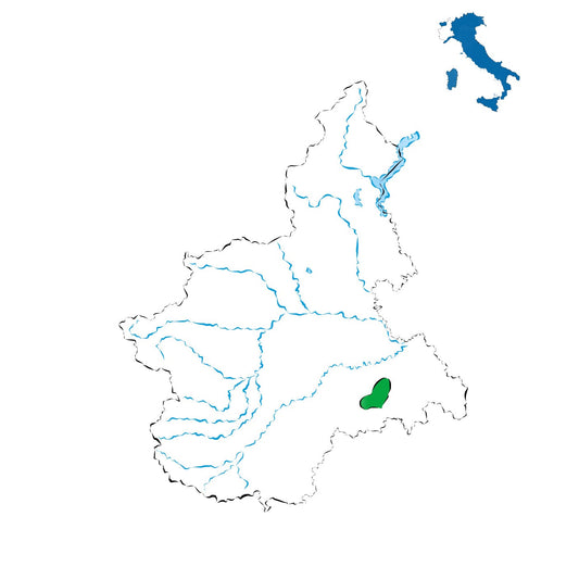 Dolcetto d’Acqui DOC: vini rossi morbidi tra colline e tradizione