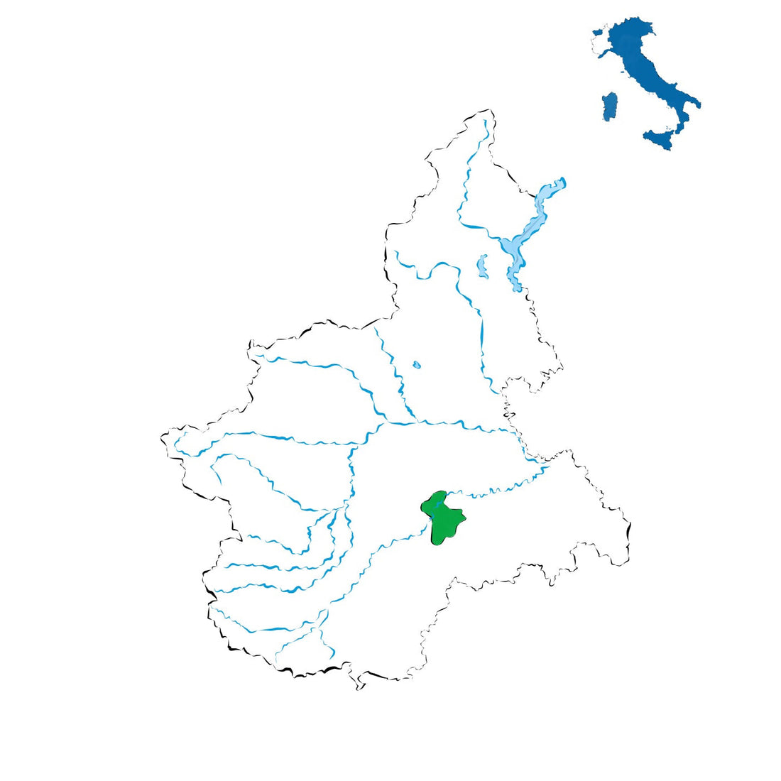 Dolcetto d’Alba DOC: freschezza e fruttato tra le colline delle Langhe