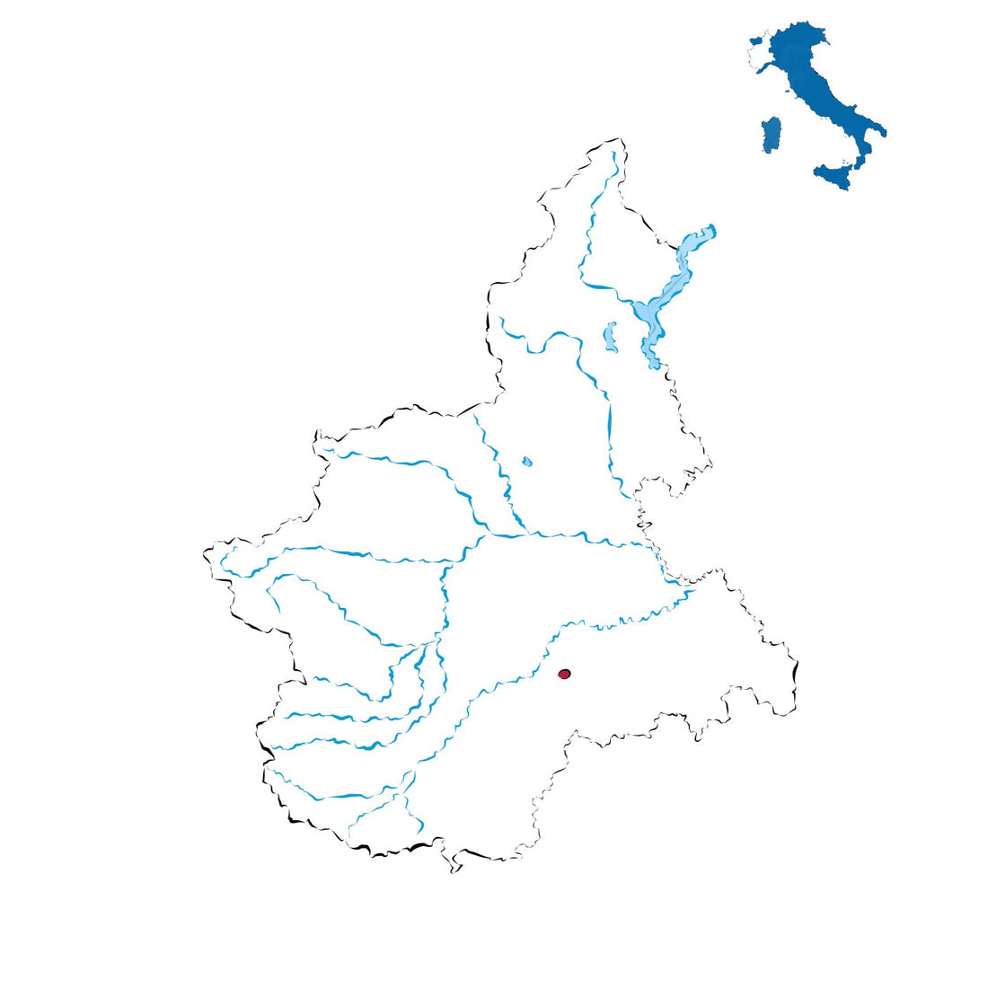 Dolcetto di Diano d’Alba DOCG: tradizione e freschezza tra le colline cuneesi