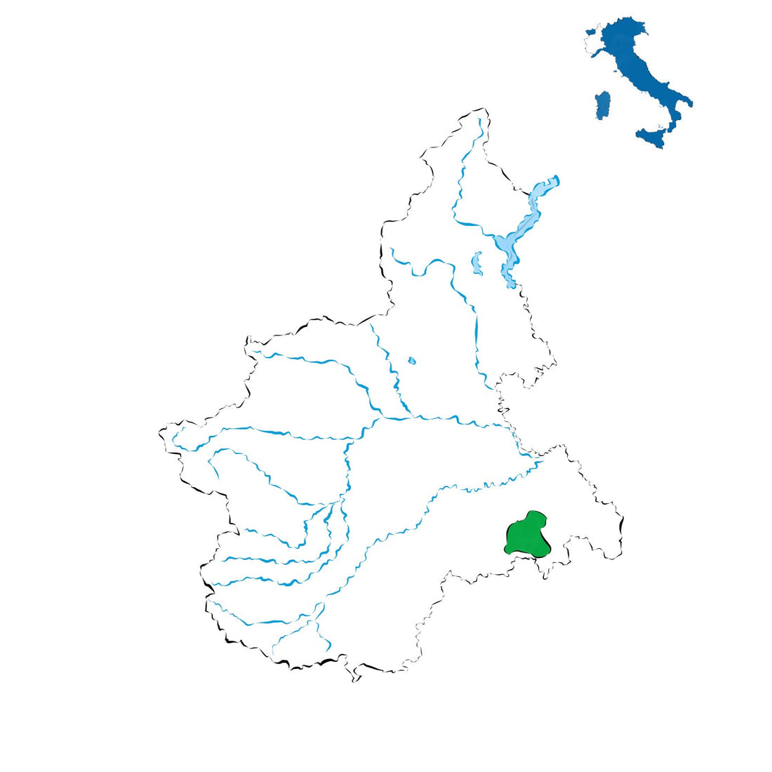 Dolcetto di Ovada DOC: il rosso piemontese dal frutto vivo e fragrante
