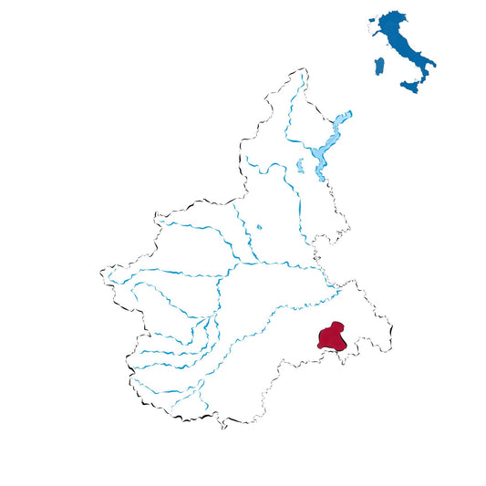 Dolcetto di Ovada Superiore DOCG: eleganza e tradizione tra i vigneti dell’Ovadese