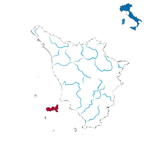 Elba Aleatico Passito DOCG: il rubino dolce dell’isola