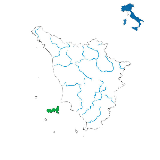 Elba DOC: i vini dell’isola tra mare e sole