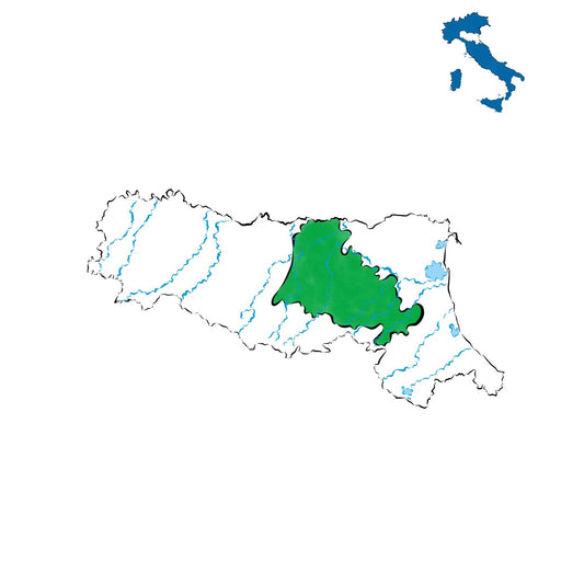 Emilia-Romagna DOC: vino regionale dell’Emilia-Romagna