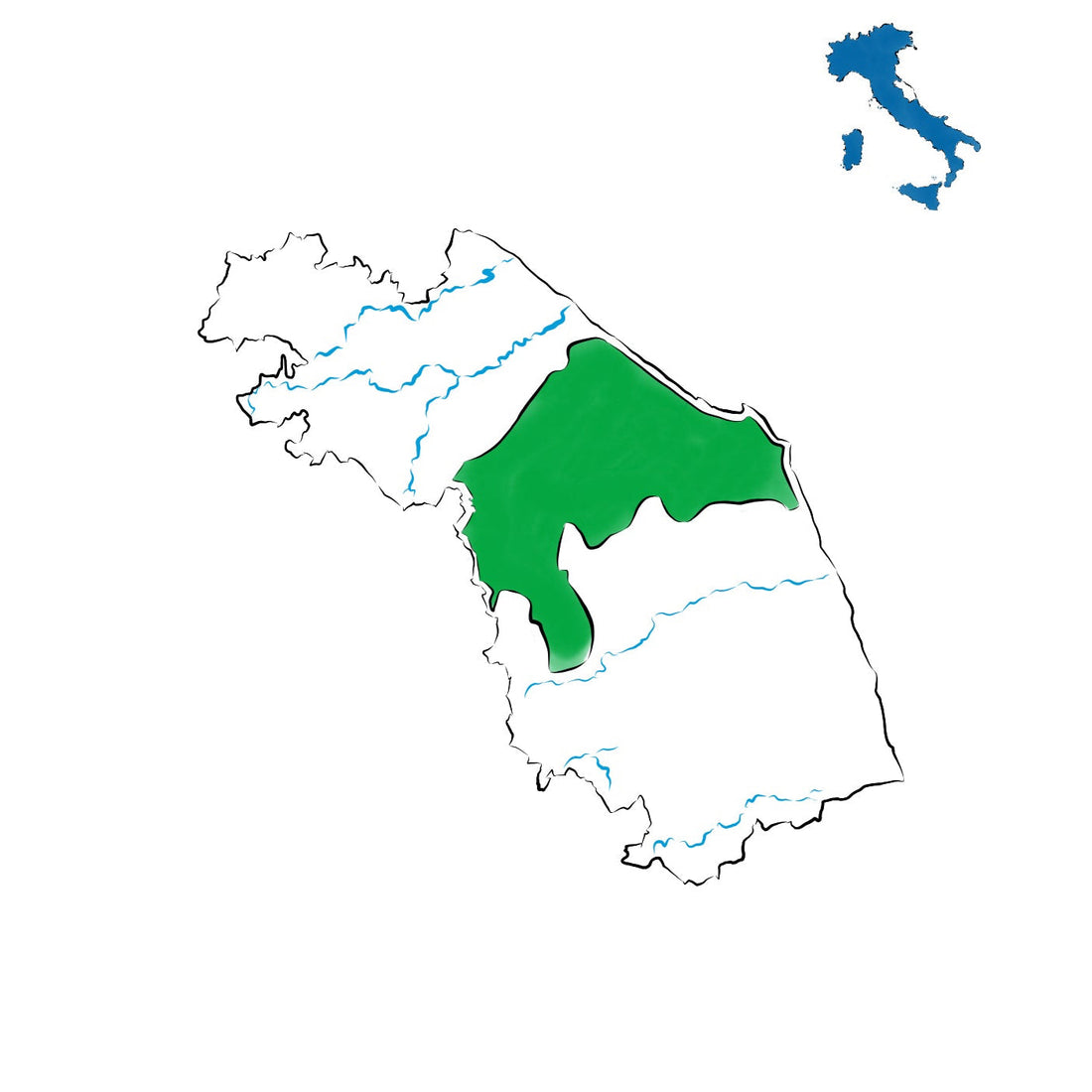 Esino DOC: la versatilità dei colli marchigiani
