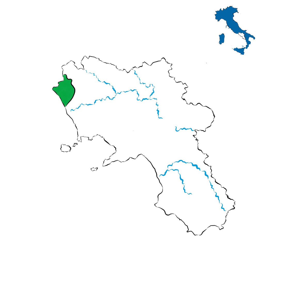 Falerno del Massico DOC: l’eccellenza vitivinicola del Casertano