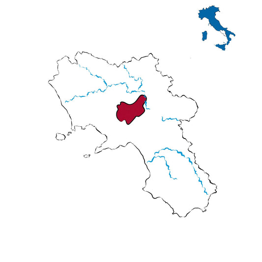 Fiano di Avellino DOCG: il bianco aristocratico dell’Irpinia