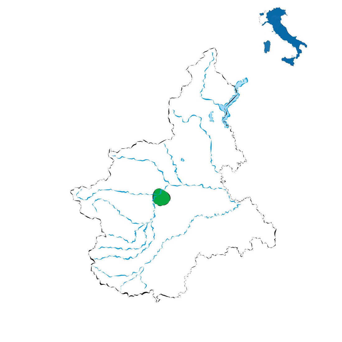 Freisa di Chieri DOC: il frutto delle colline torinesi