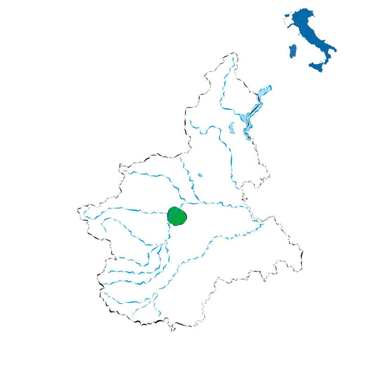 Freisa di Chieri DOC: il frutto delle colline torinesi