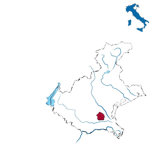 Bagnoli Friularo DOCG: l’anima del Raboso Piave nei Colli Euganei