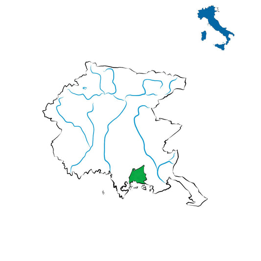 Friuli Annia DOC: vini della pianura friulana