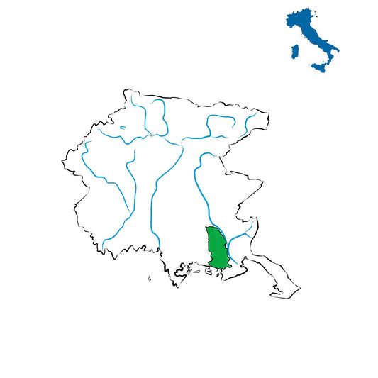 Friuli Aquileia DOC: vini tra storia romana e pianura friulana