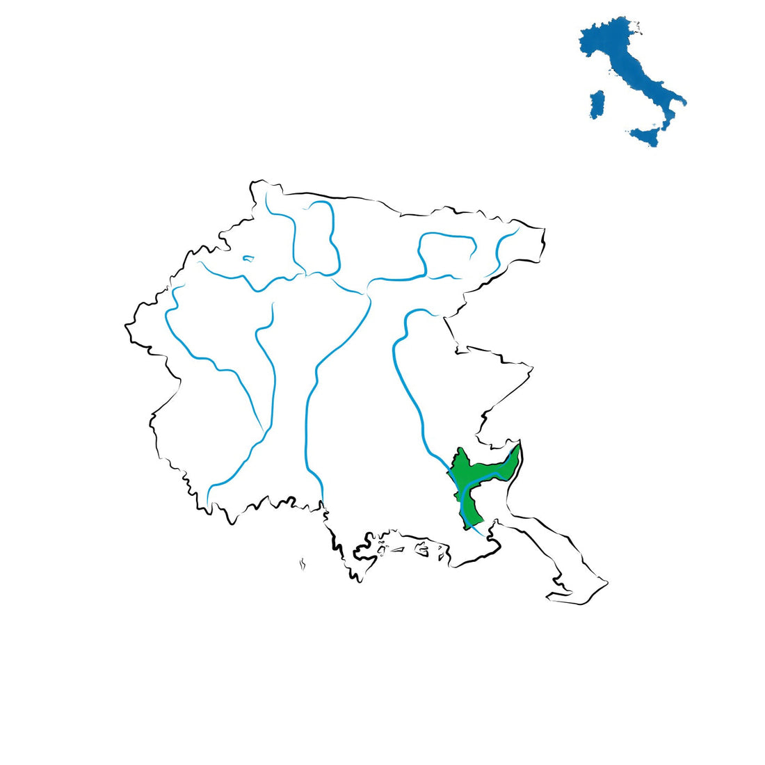 Friuli Isonzo DOC: l’eleganza dei vini lungo il fiume