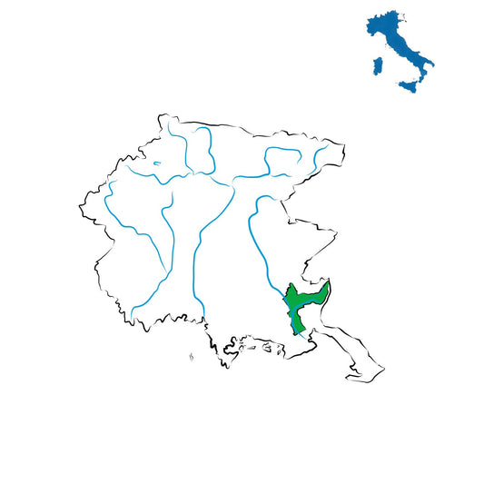 Friuli Isonzo DOC: l’eleganza dei vini lungo il fiume
