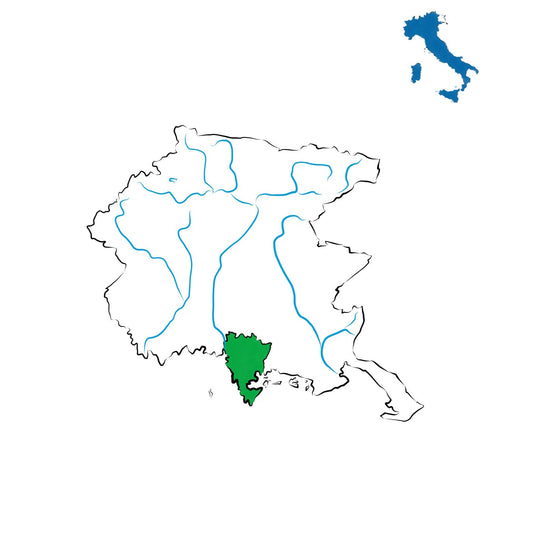 Friuli Latisana DOC: freschezza e aromaticità dal mare alla pianura