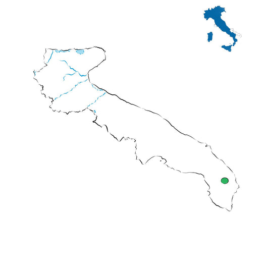 Galatina DOC: i vini del cuore del Salento