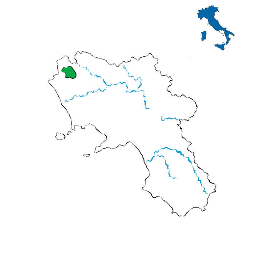 Galluccio DOC: i vini della Campania settentrionale