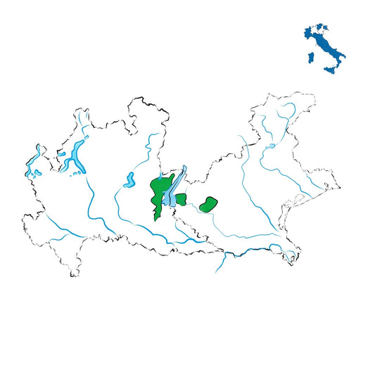 Garda DOC: i vini del Lago di Garda