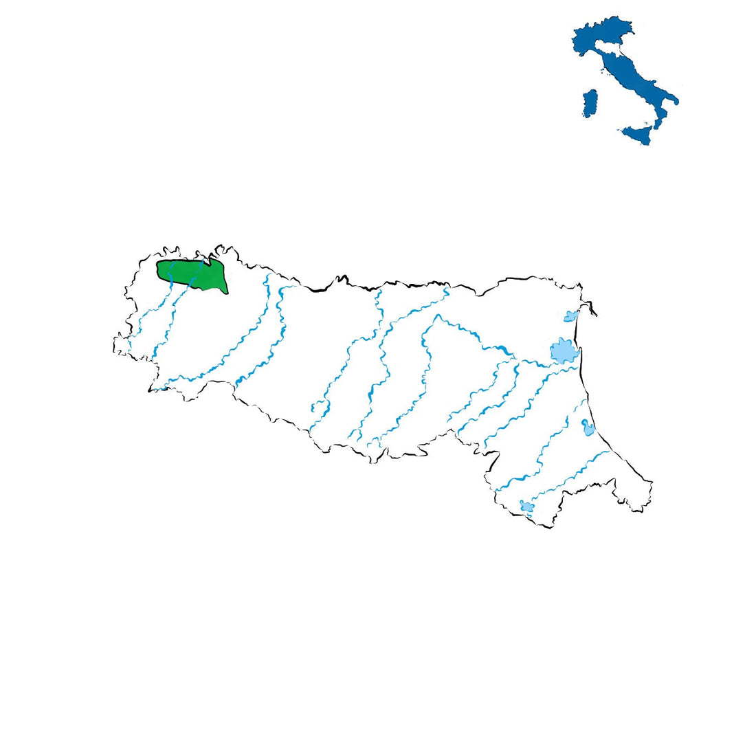 Gutturnio DOC: Il rosso robusto dell’Emilia, tradizione e vigore tra collina e pianura