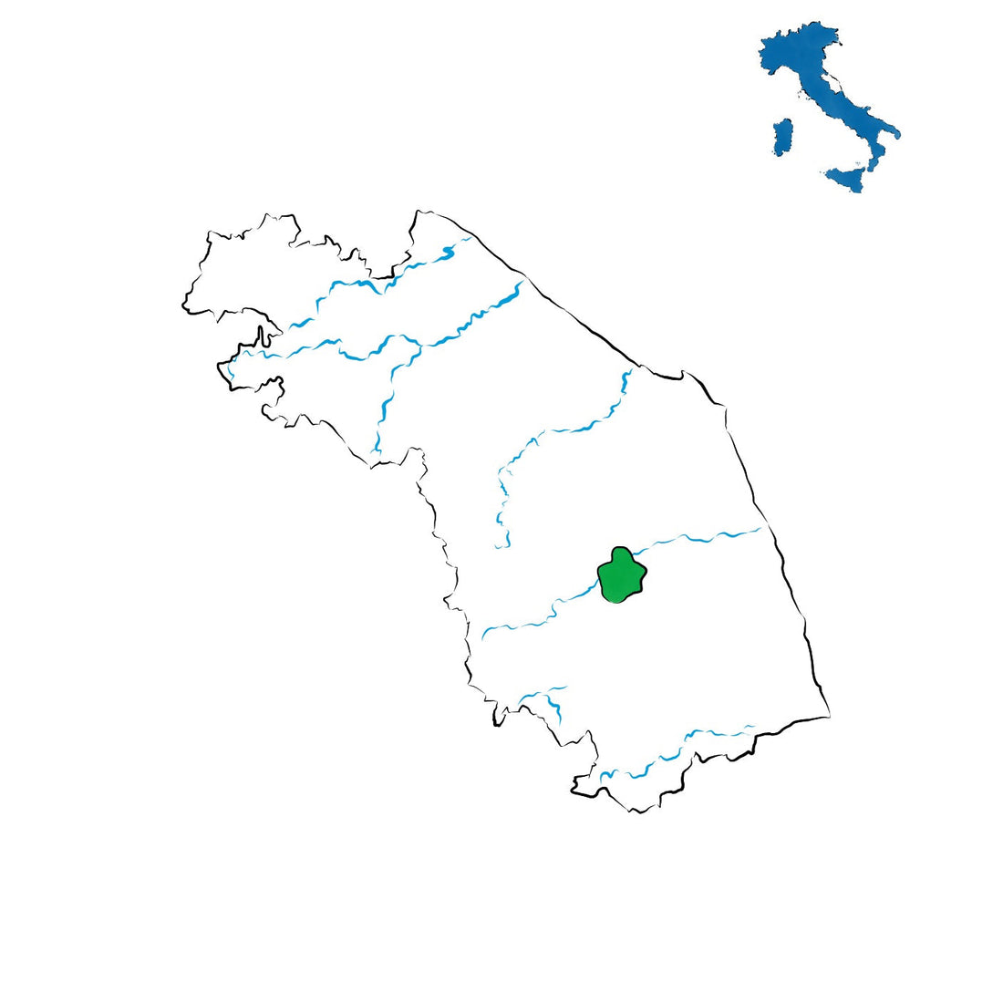 I Terreni di Sanseverino DOC: l’identità vitivinicola di San Severino Marche