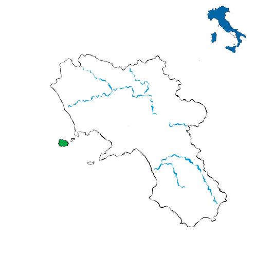 Ischia DOC: i vini dell’isola verde del Golfo di Napoli