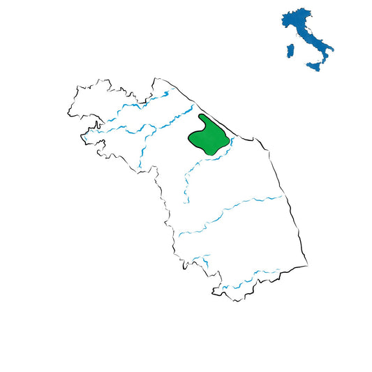 Lacrima di Morro d’Alba DOC: l’anima aromatica delle Marche