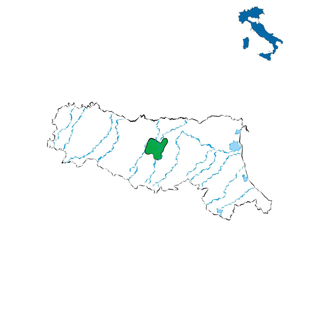 Lambrusco Grasparossa di Castelvetro DOC: Il Lambrusco dal gusto morbido e spumeggiante