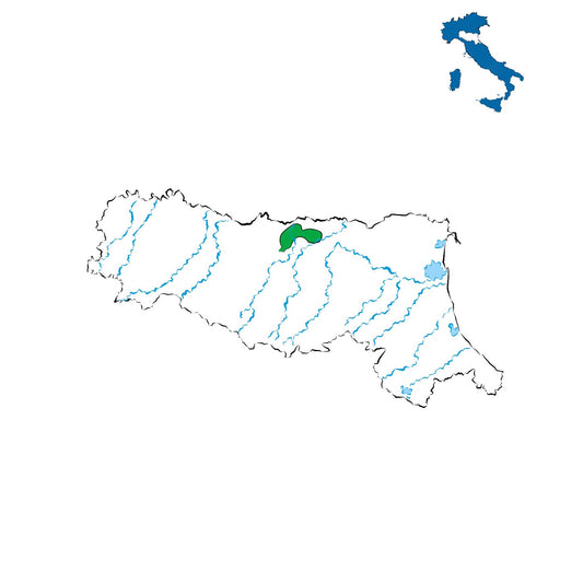 Lambrusco Salamino di Santa Croce DOC: Il rosso corposo e avvolgente di Modena