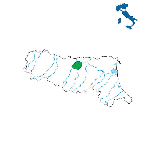 Lambrusco di Sorbara DOC: Il frizzante elegante di Modena, profumo, leggerezza e vivacità