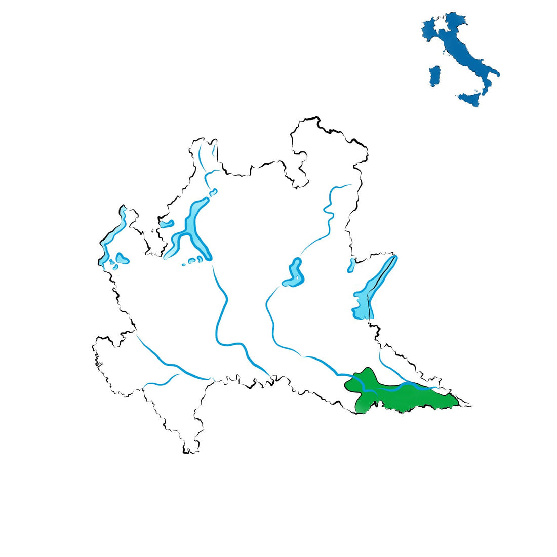 Lambrusco Mantovano DOC: i vini frizzanti della Lombardia