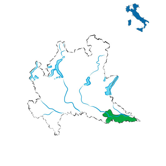 Lambrusco Mantovano DOC: i vini frizzanti della Lombardia