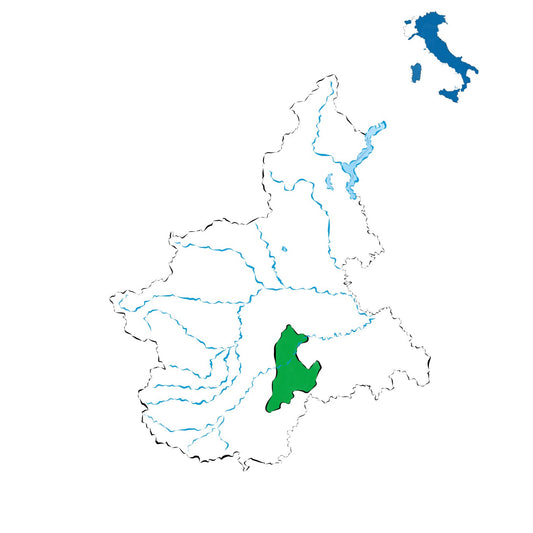 Langhe DOC: la porta d’ingresso ai grandi vini piemontesi