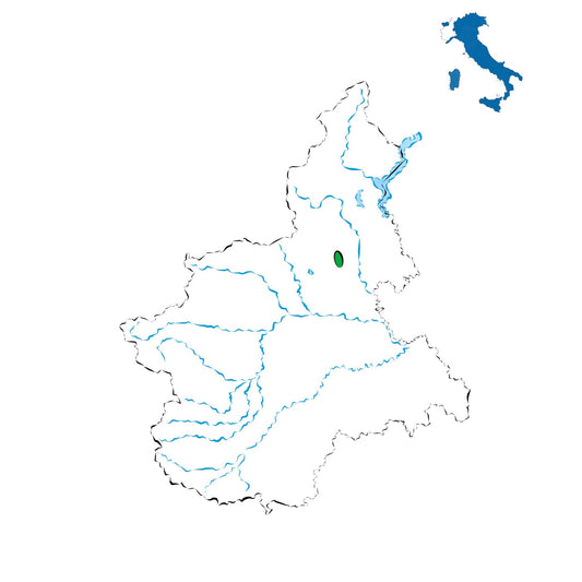 Lessona DOC: il rosso storico delle colline biellesi